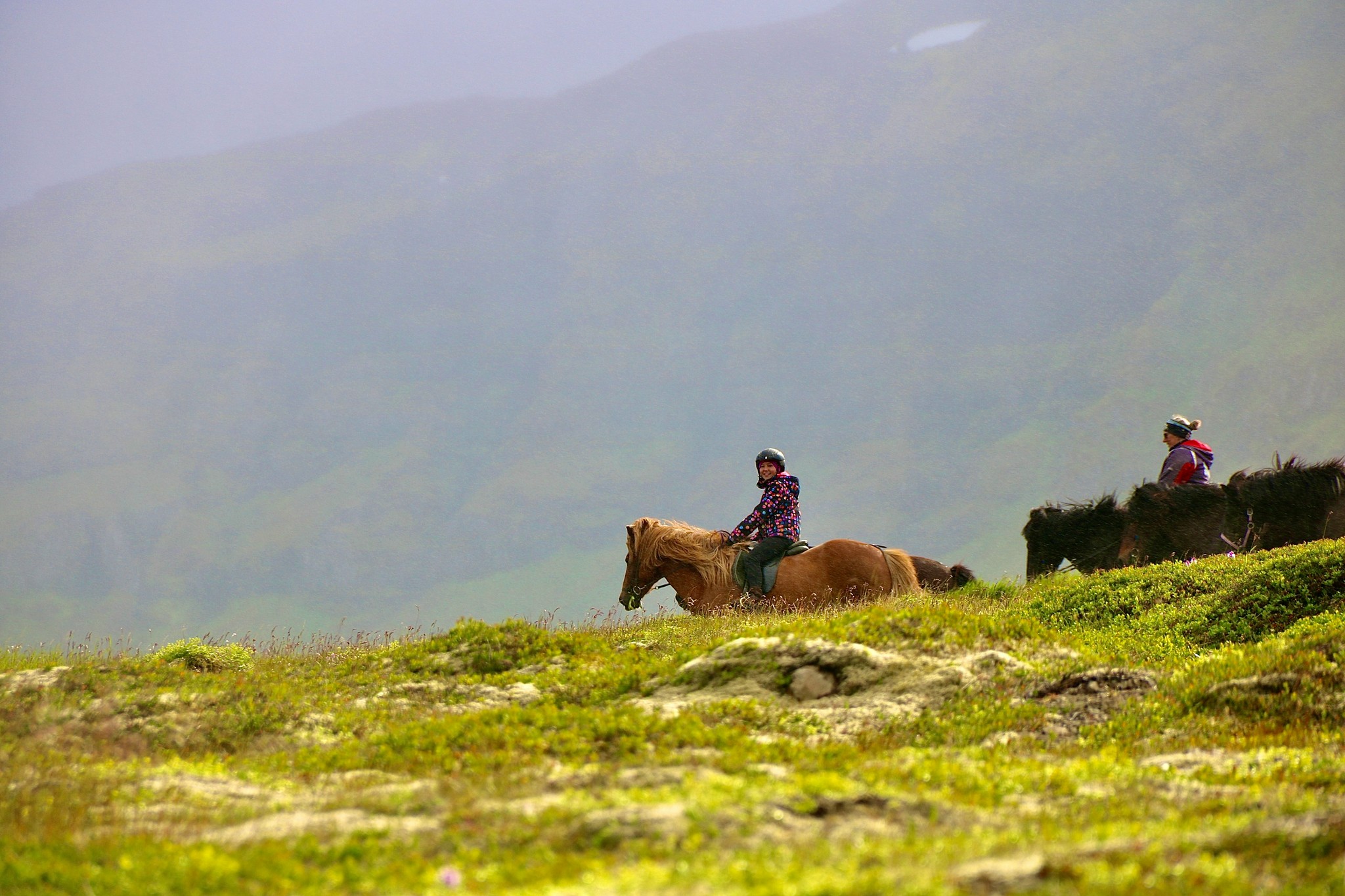 Two tourists riding Icelandic horses across a moss-covered lava field.