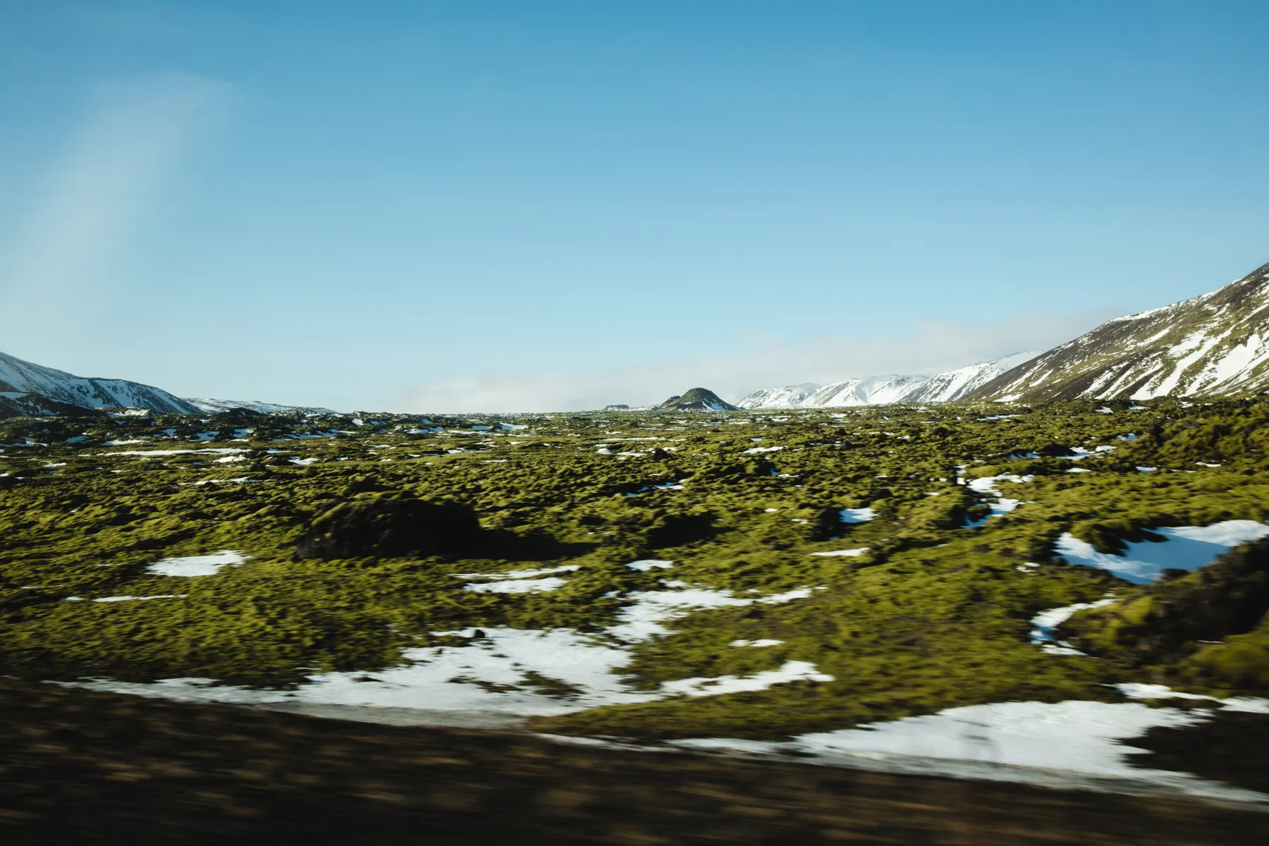 Moss-covered lava and snowy mountains near Hveragerði