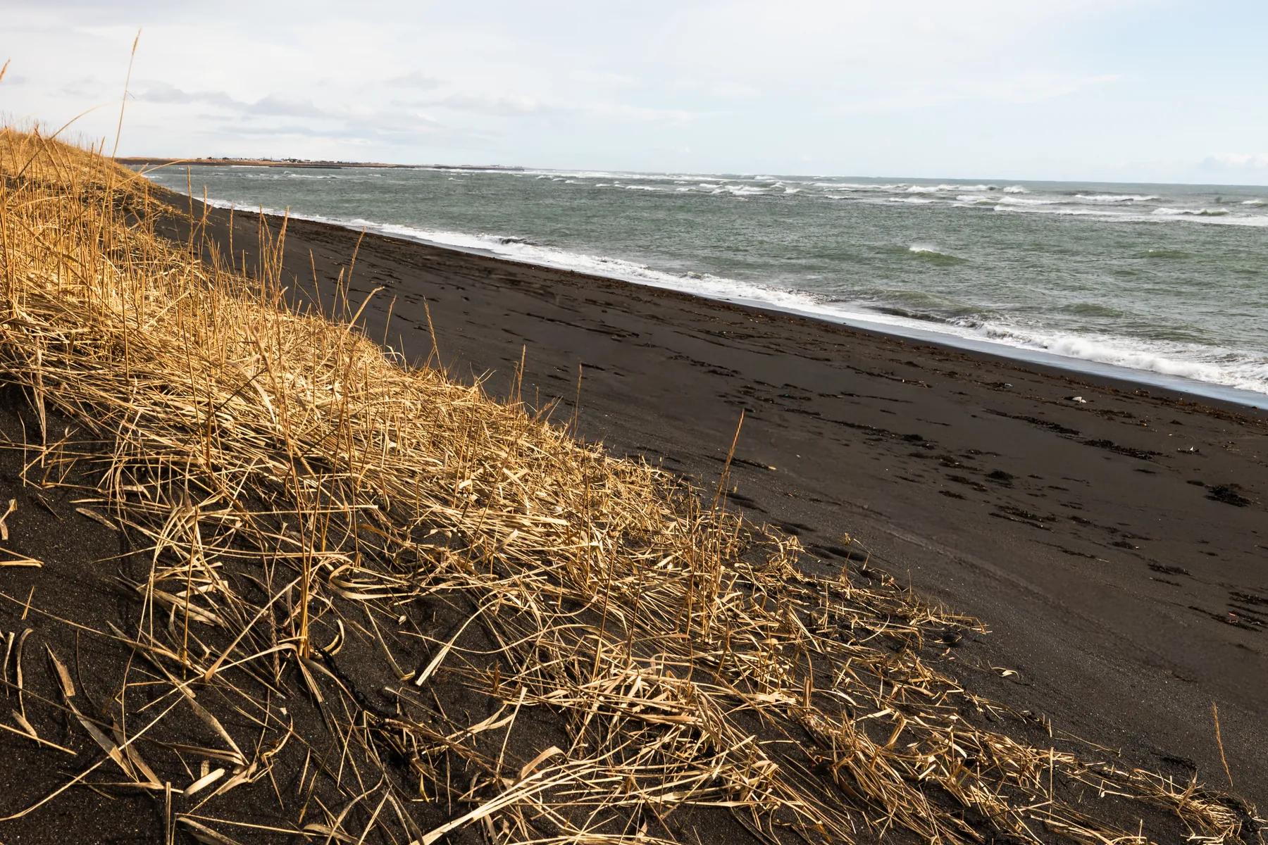 Dune grass and black sand beach below Black Sand Hotel